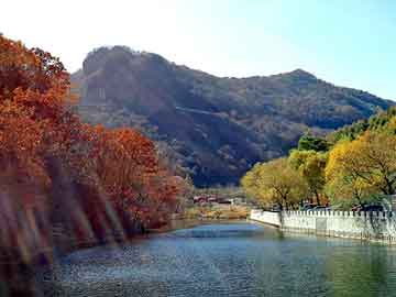 新澳门二四六天天彩，水箱水位计